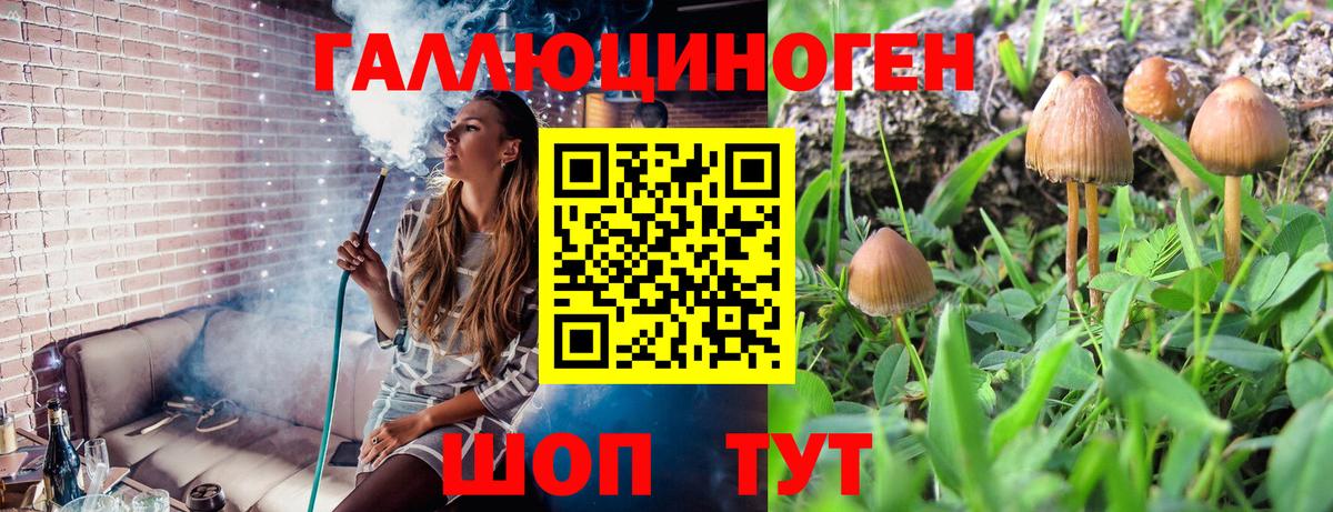 Псилоцибиновые грибы MAGIC MUSHROOMS Вышний Волочёк